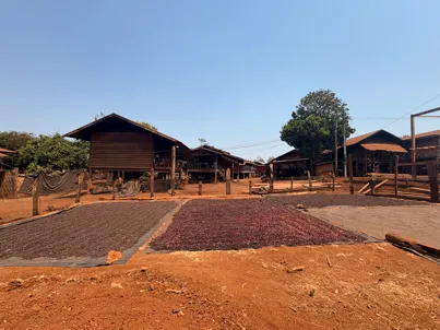 Visita a una finca cafetera